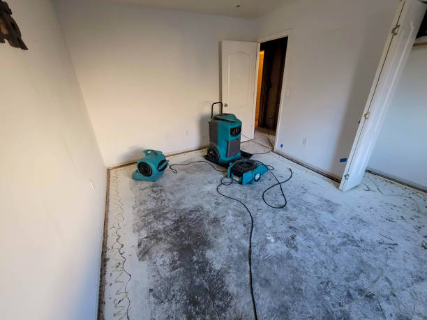 Best Water damage restoration near me  in University Of Pittsburgh Johnstown, PA
