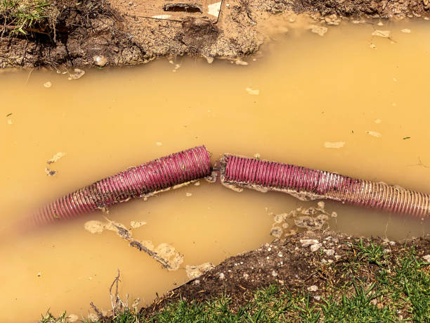 Best Basement water damage restoration  in University Of Pittsburgh Johnstown, PA